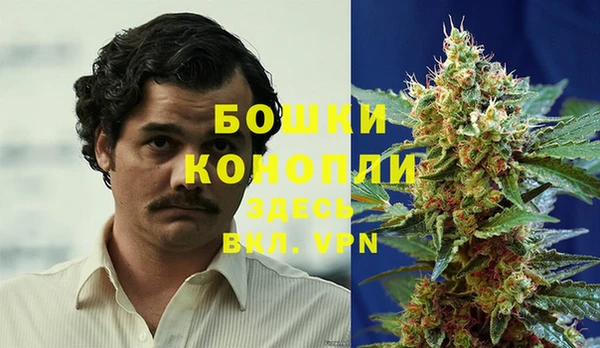 первитин Белокуриха